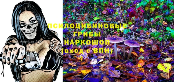 МДПВ Горно-Алтайск