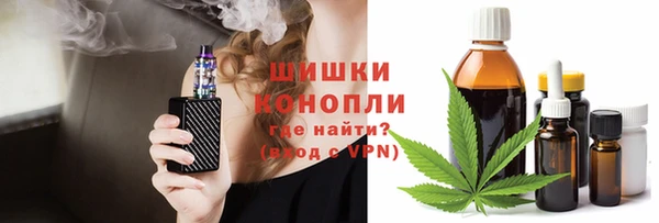 МДПВ Горно-Алтайск