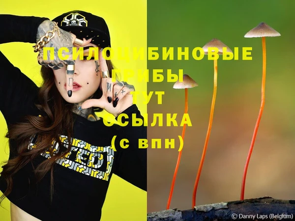 первитин Горняк