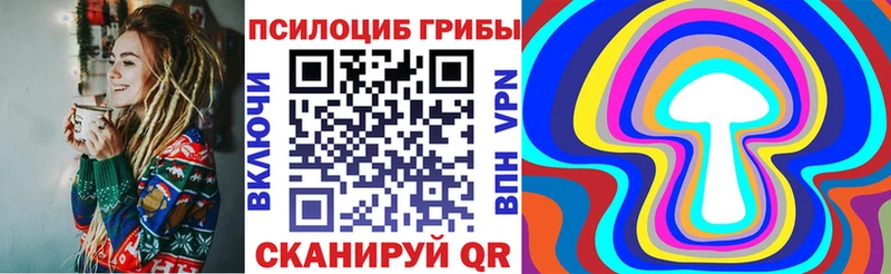 Псилоцибиновые грибы Psilocybe  наркотики  Томск 